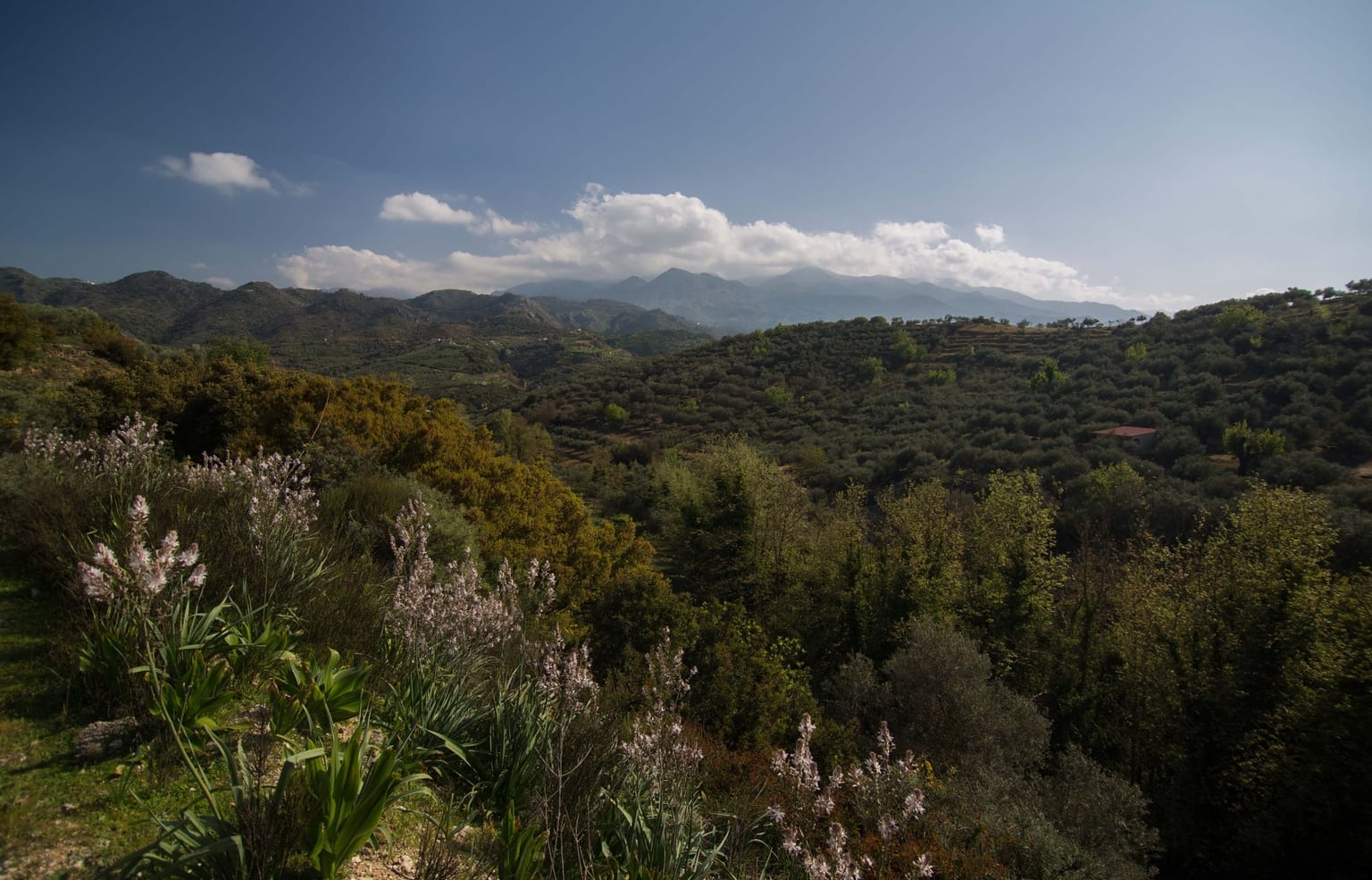 Kampi Kerameion: A Beautiful Corner of Chania