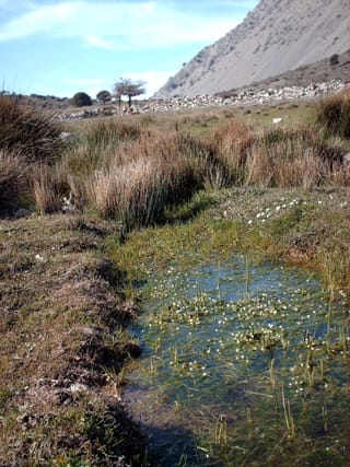 Omalos Viannou: Summer's Wild Beauty and Frozen Lake