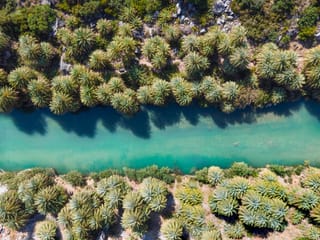 Preveli: Embrace Exotic Beauty at One of the Country's Finest Beaches