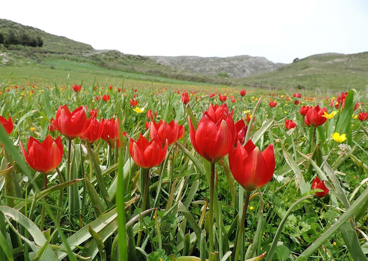 Nature and Adventure in Rethymno: Explore the Outdoors!