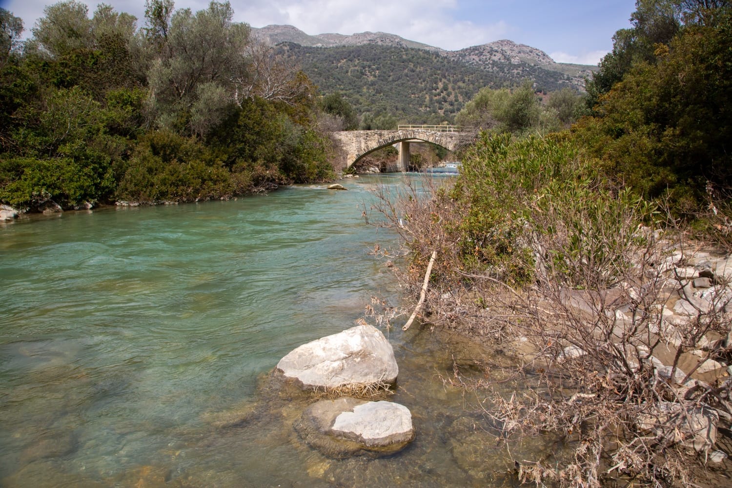 Αγία Παρασκευή Αμαρίου: Με άρωμα λεβάντας!