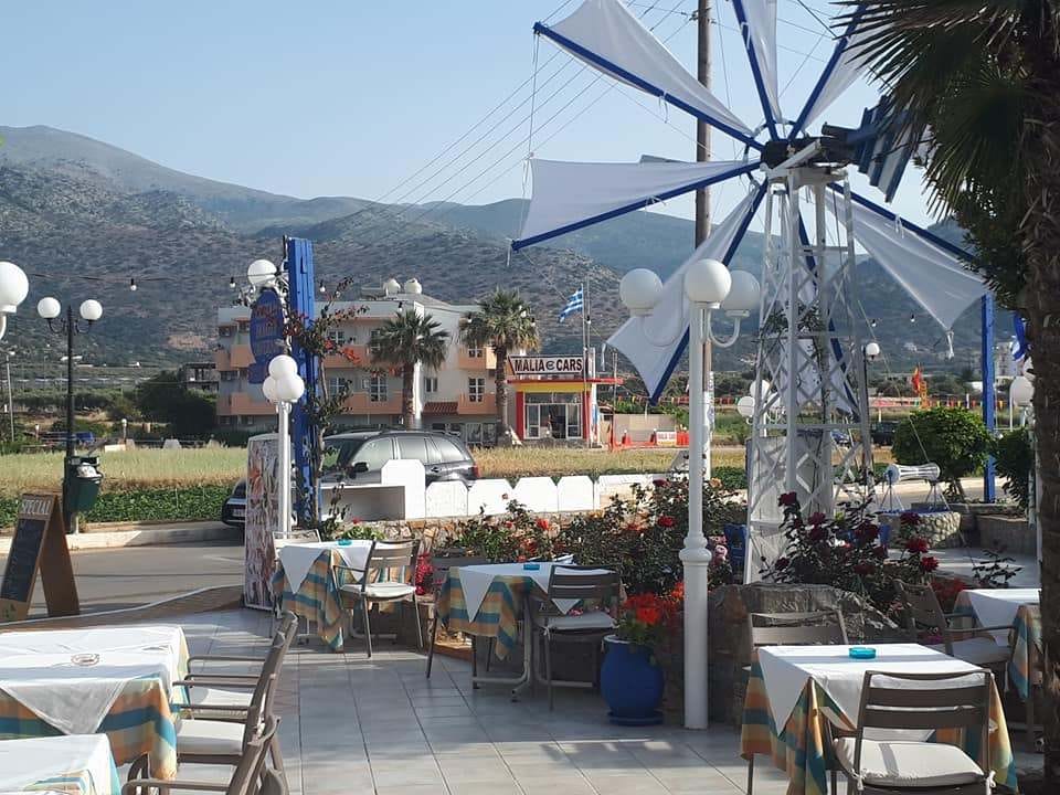 Cretan Family Fish and Grill: Fresh seafood in a family taverna in Malia