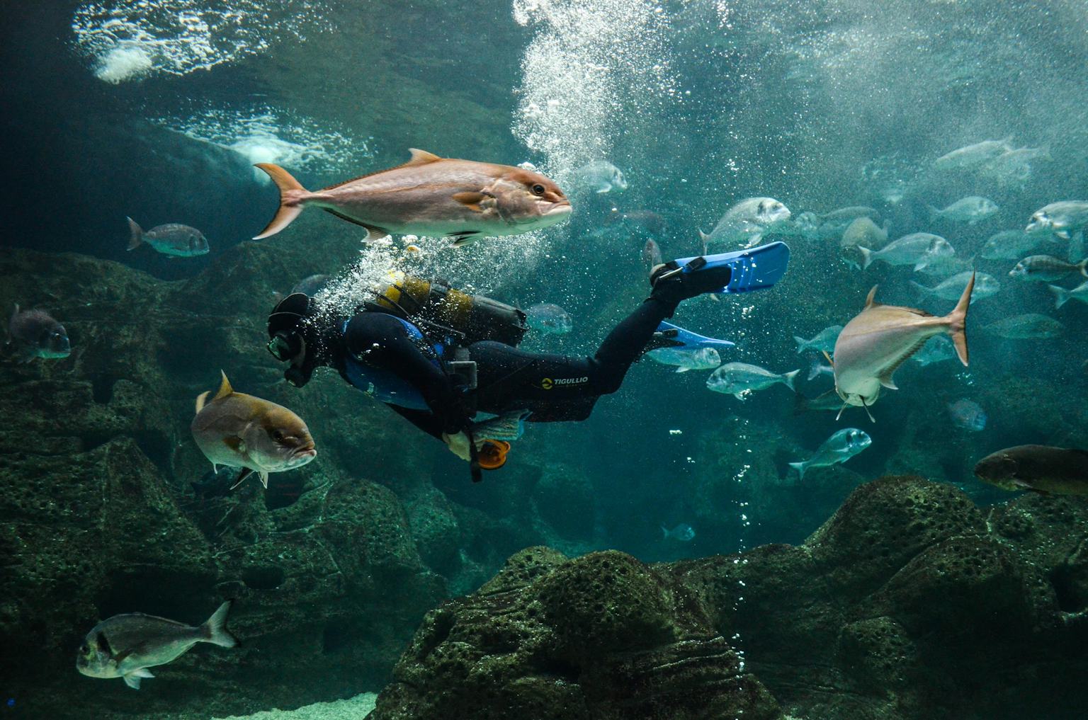 Family Excursion to the Largest Aquarium in the Mediterranean