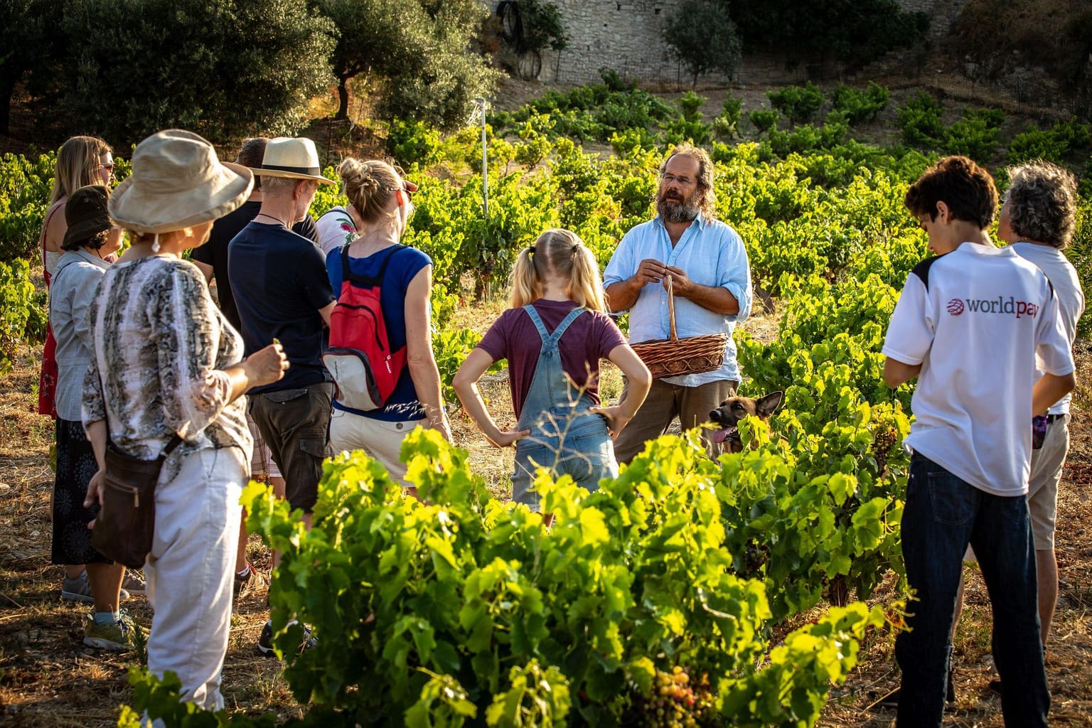 Dalabelos estate: Περιήγηση & αγροτικές δραστηριότητες στα Αγγελιανά