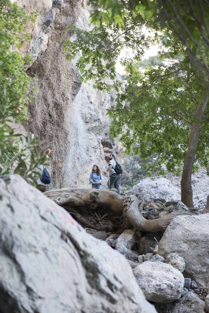 Hike Through Kritsa Gorge