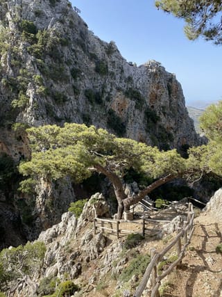 Φαράγγι Πλατανίων