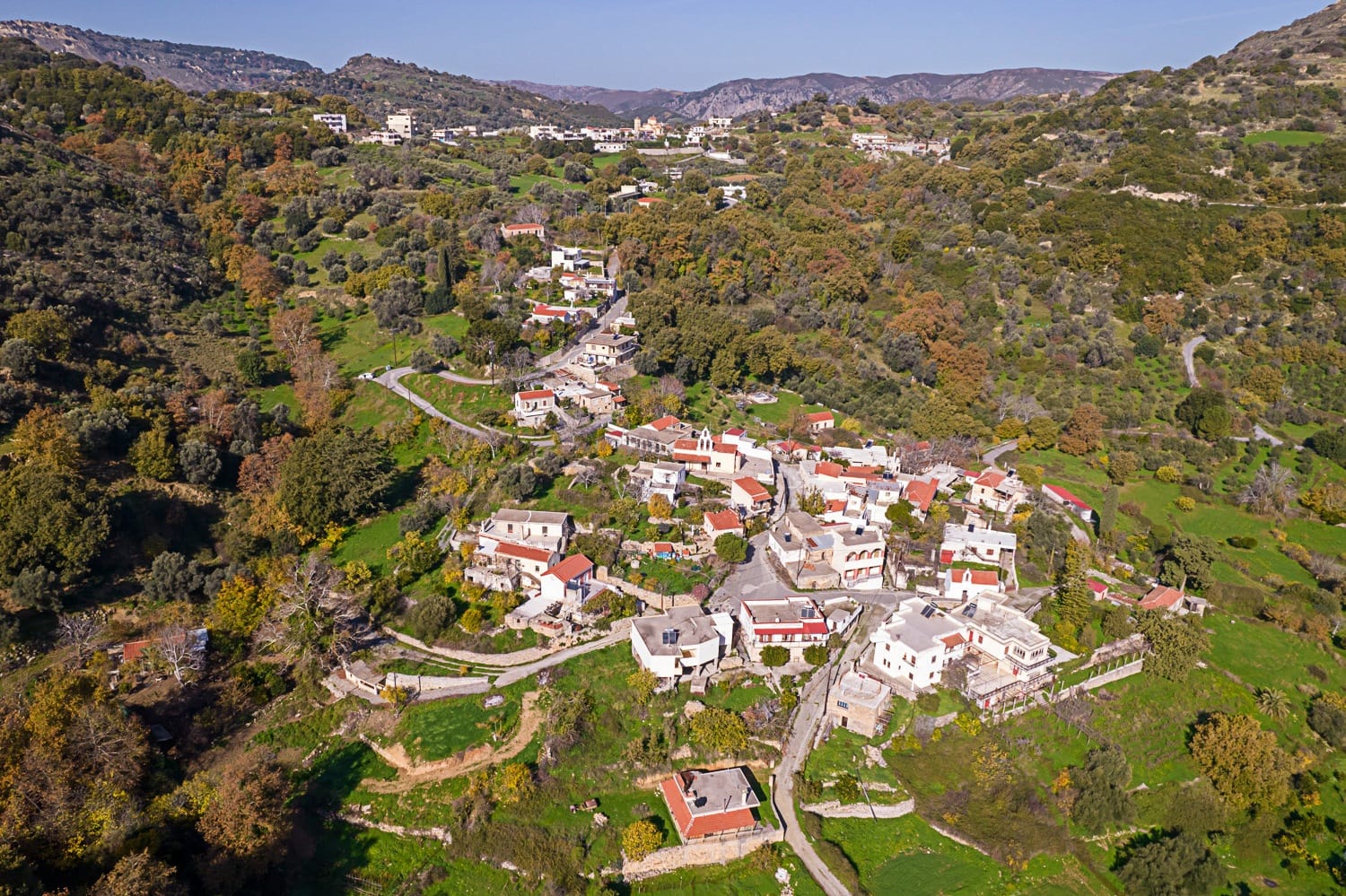 Genna: The Village of the Monumental Olive Tree