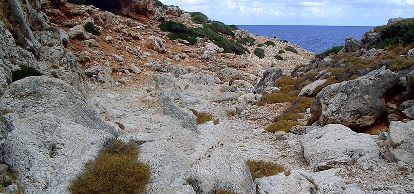 Φαράγγι Καθολικού