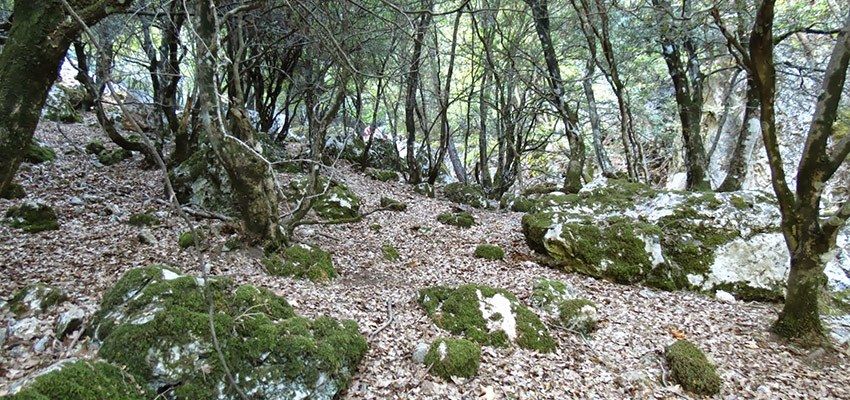 Φαράγγι Πρασσέ