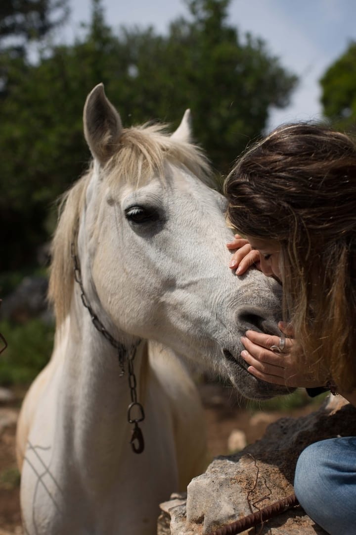 Horseback Riding in Asterousia: Prepare to Be Enchanted!