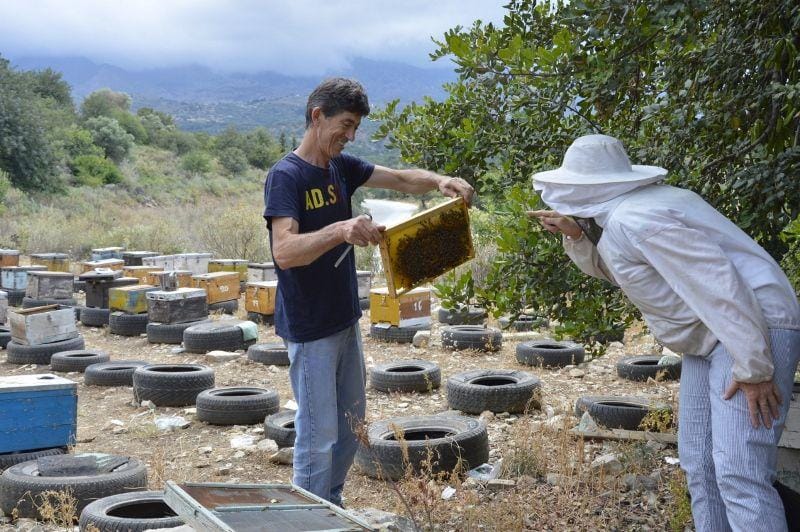 Vamos village: Δοκιμάστε μέλι από την κυψέλη και φτιάξτε τυροζούλι και παραδοσιακό πιλάφι!