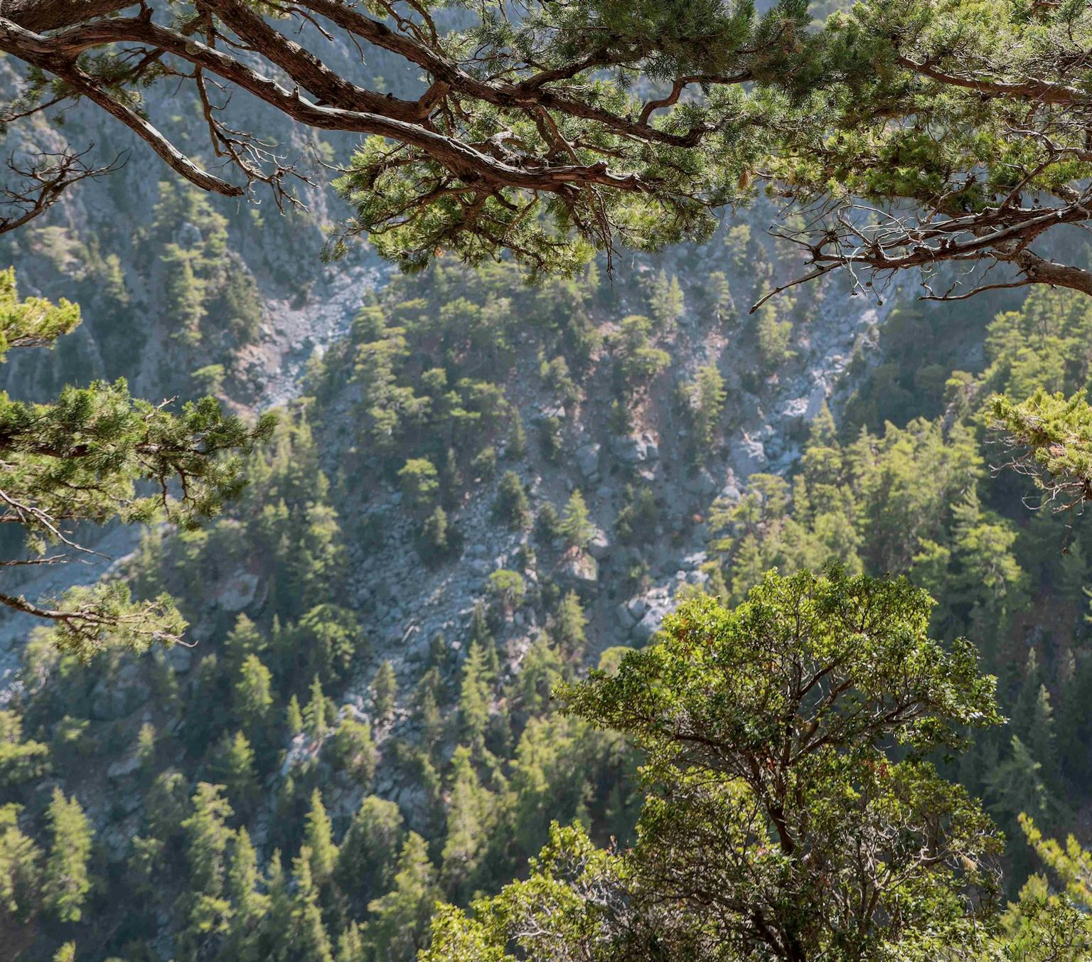 Exploring Samaria Gorge and Taking the Plunge!