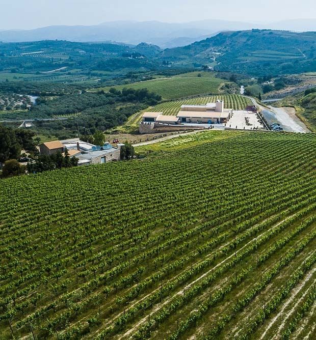 Exploring Paterianakis Estate: Tasting and Guided Tour