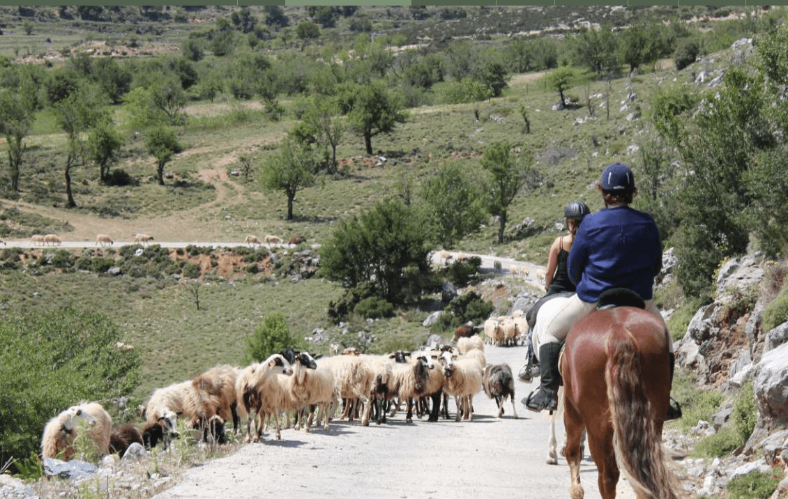 discover crete