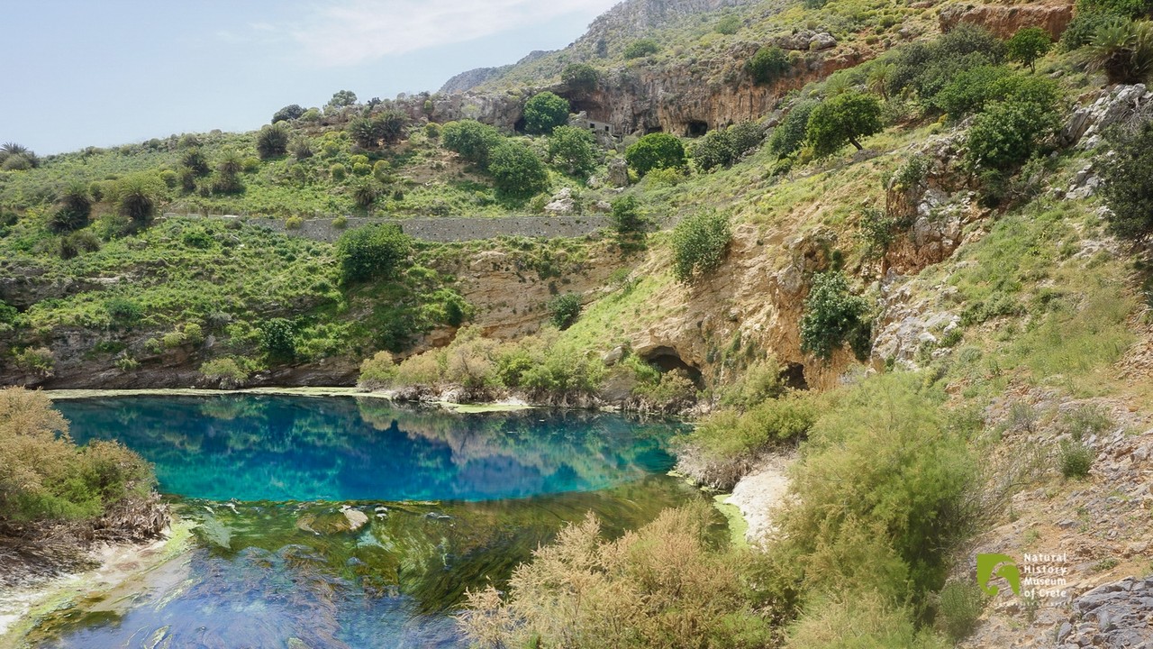 discover crete