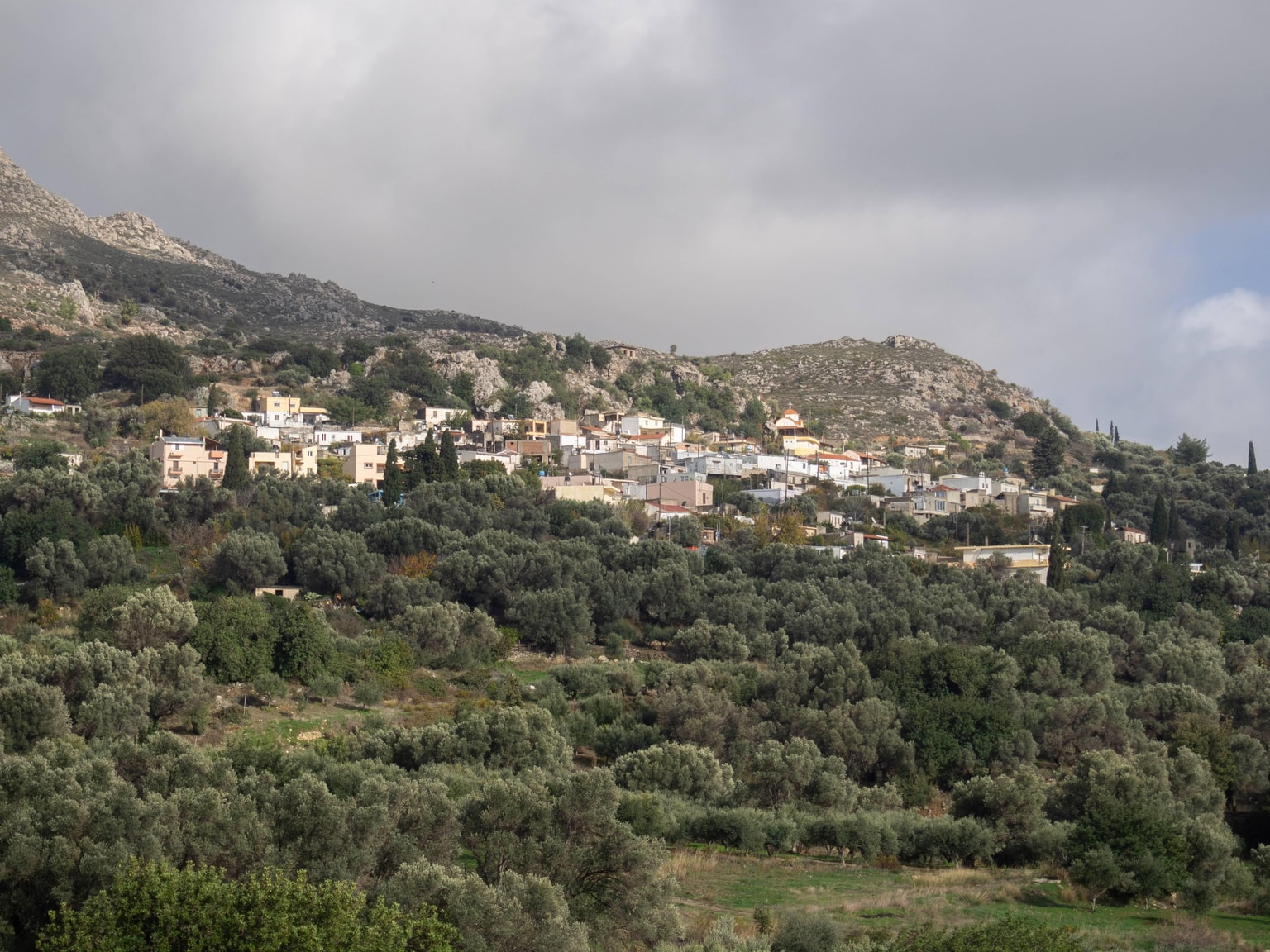 Μυρωδιά από φασκόμηλο πλημμυρίζει το χωριό Νύβριτος!