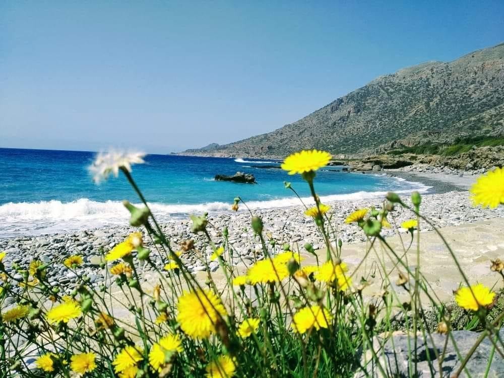 discover crete