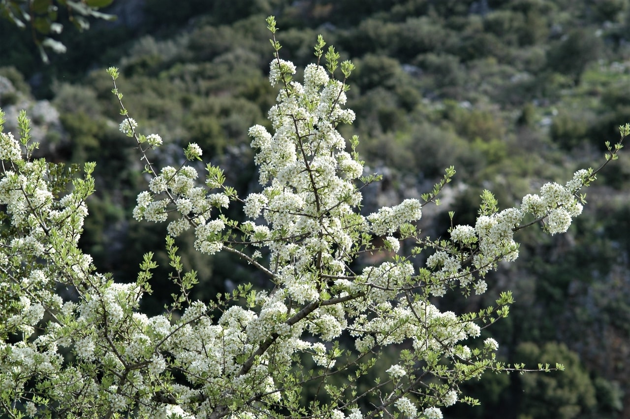 discover crete