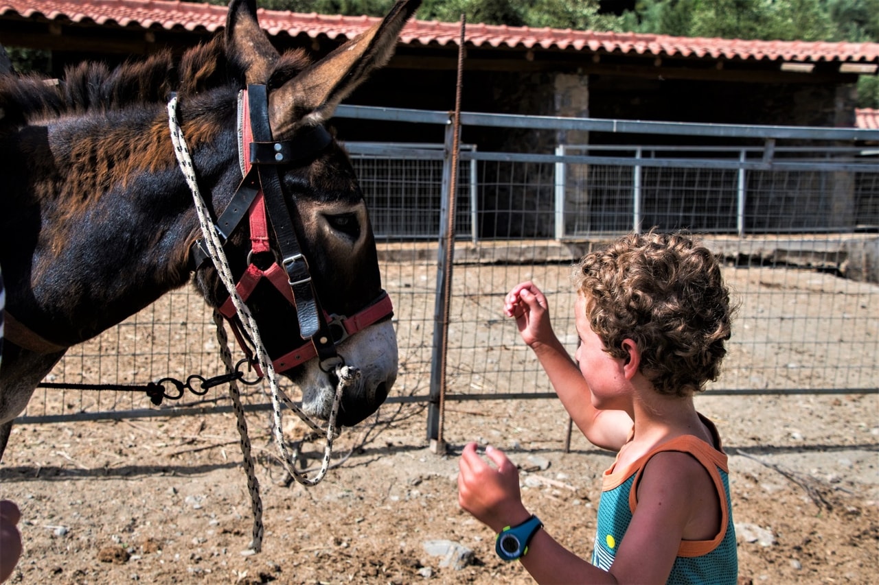 discover crete