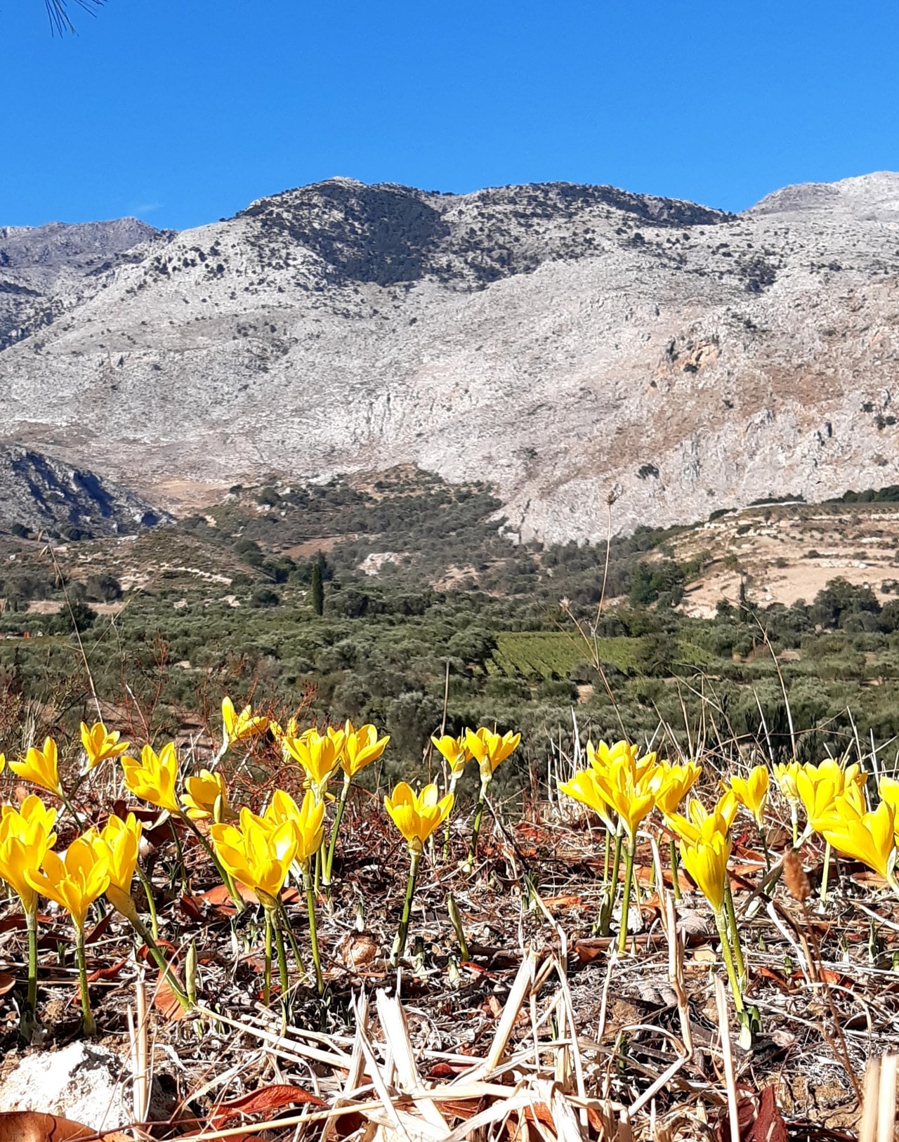 discover crete