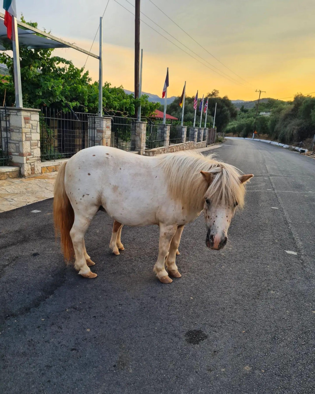 discover crete