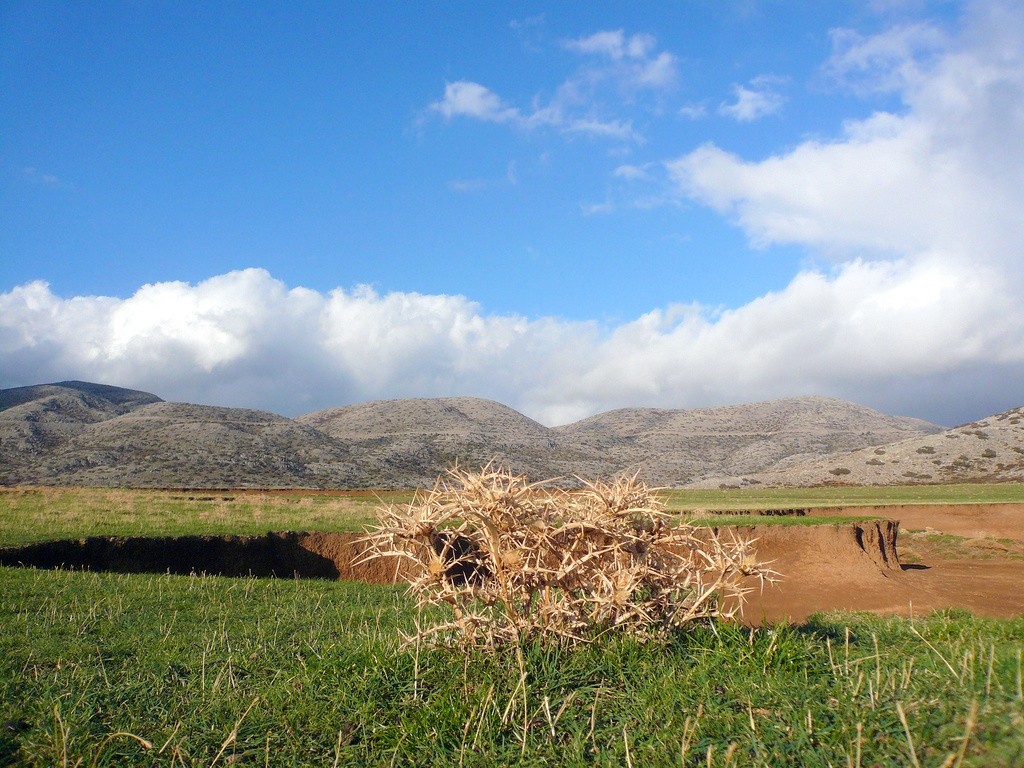 discover crete