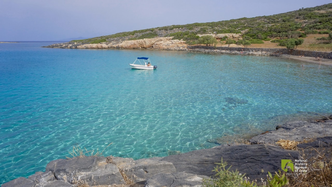 discover crete