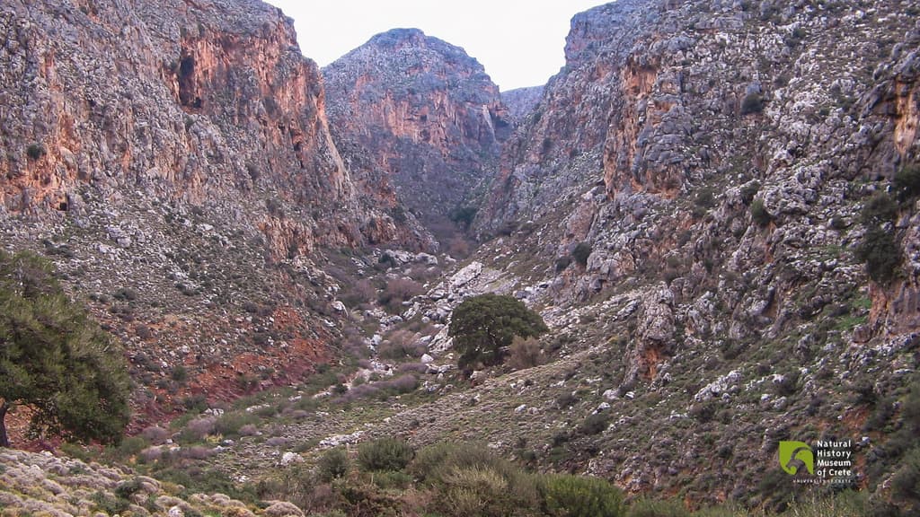 9 Gorges of Lassithi and Their Intriguing History