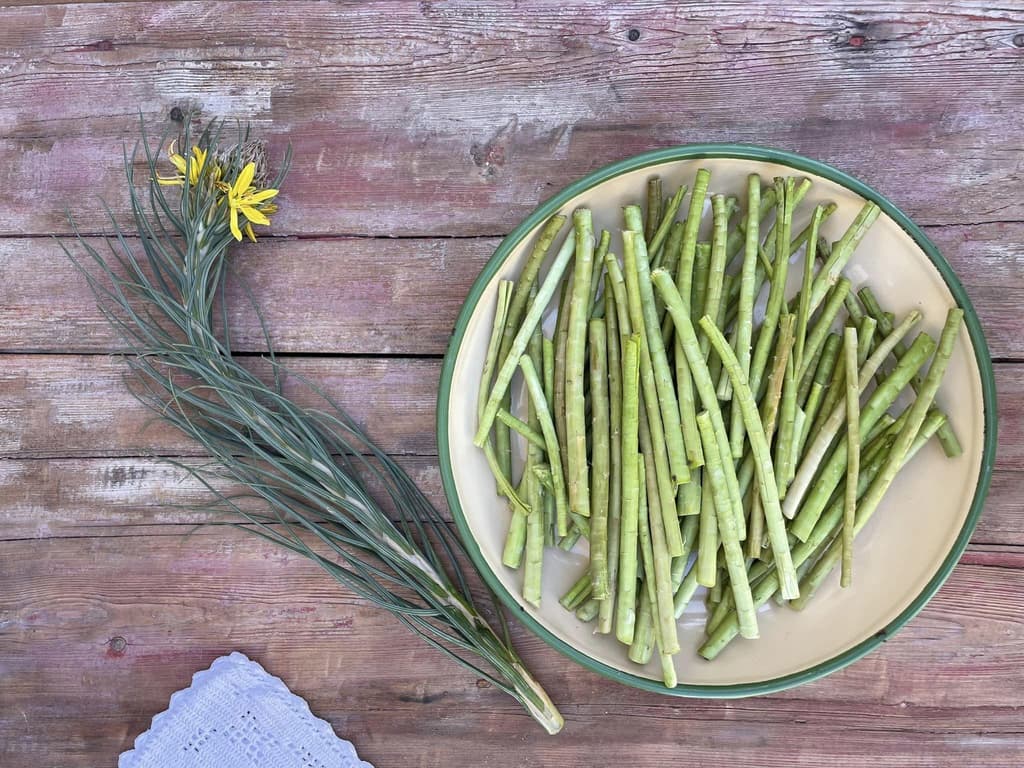 Discovering and Cooking Asphodelaceae: A Taste of Local Cuisine