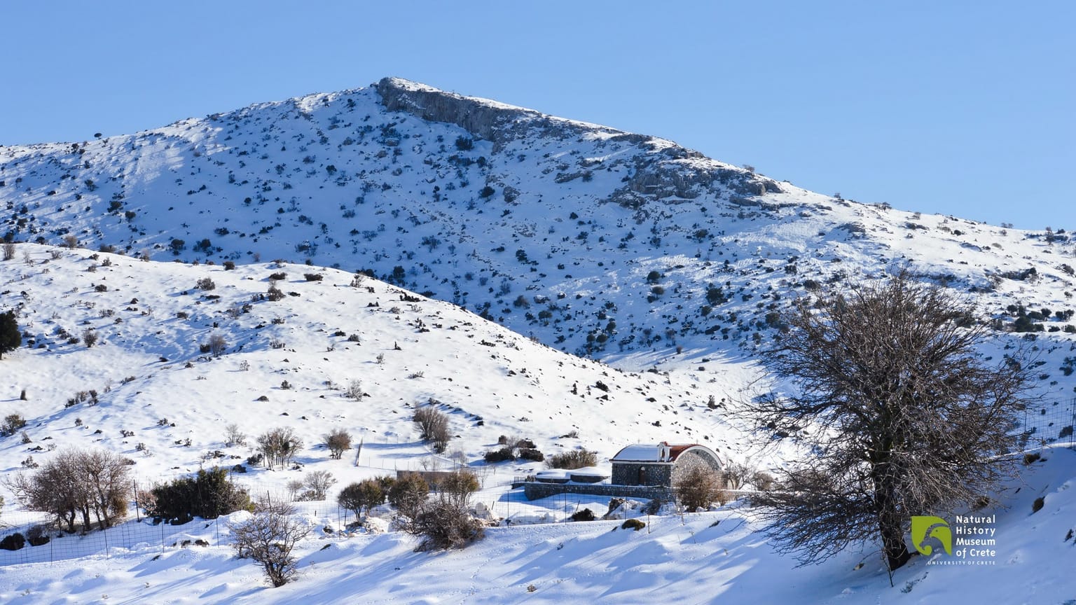 Nature Getaway: A Day at Livadi Plateau!