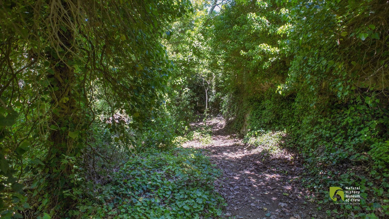 4+1 φαράγγια στον Δήμο Αρχανών- Αστερουσίων που σε καλούν για εξερεύνηση