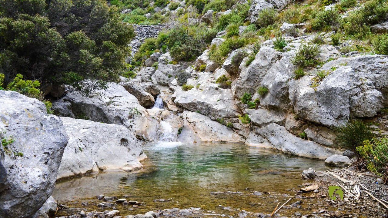 discover crete