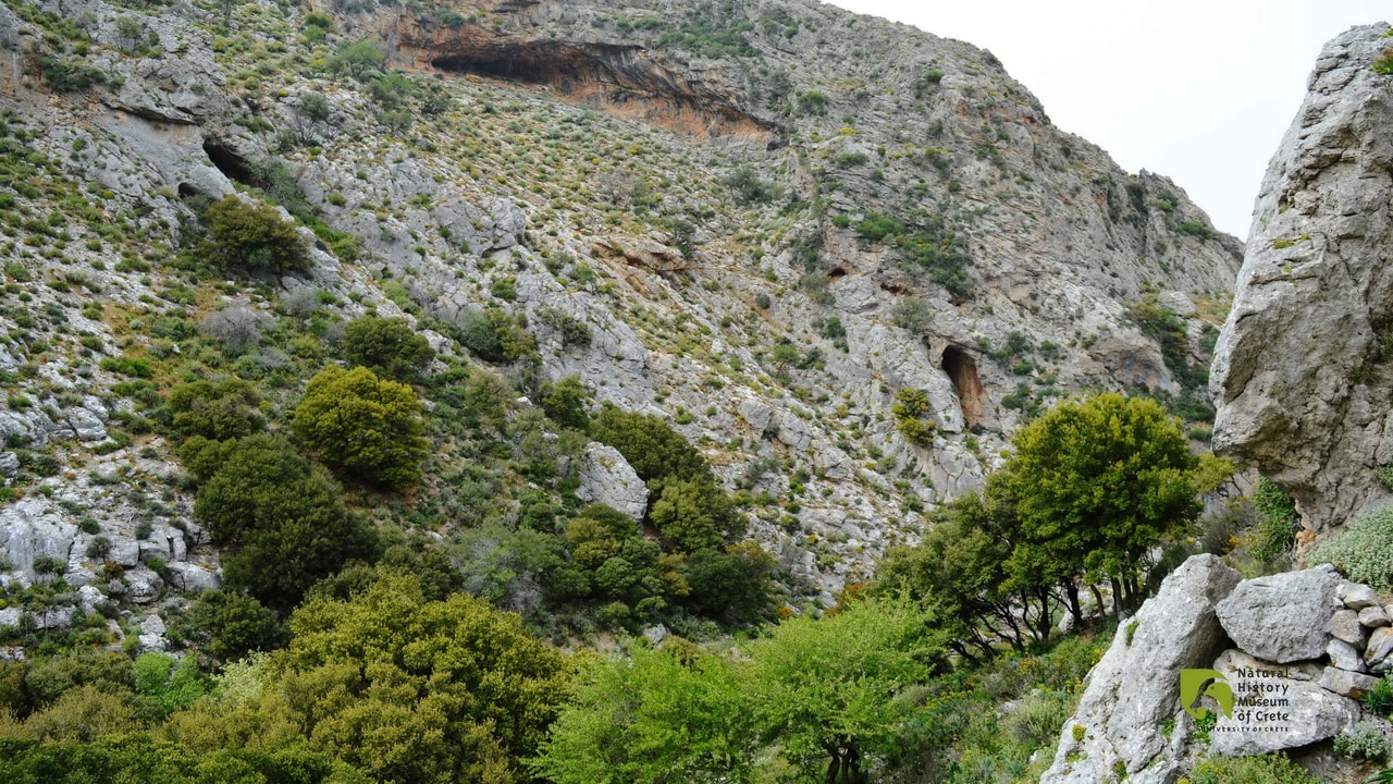 discover crete