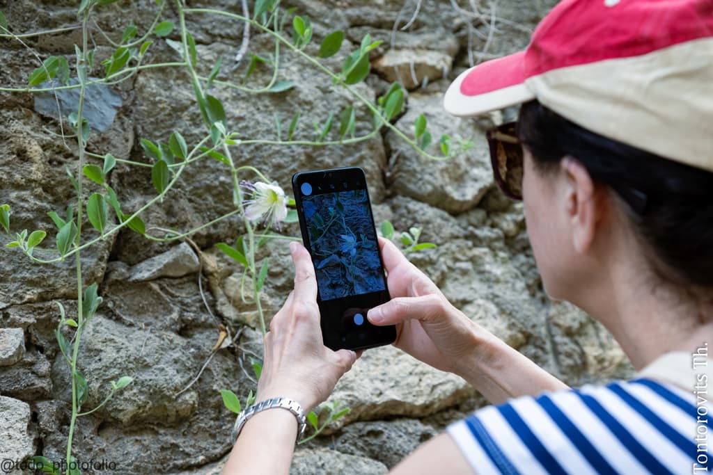 Crete: a paradise for nature lovers!