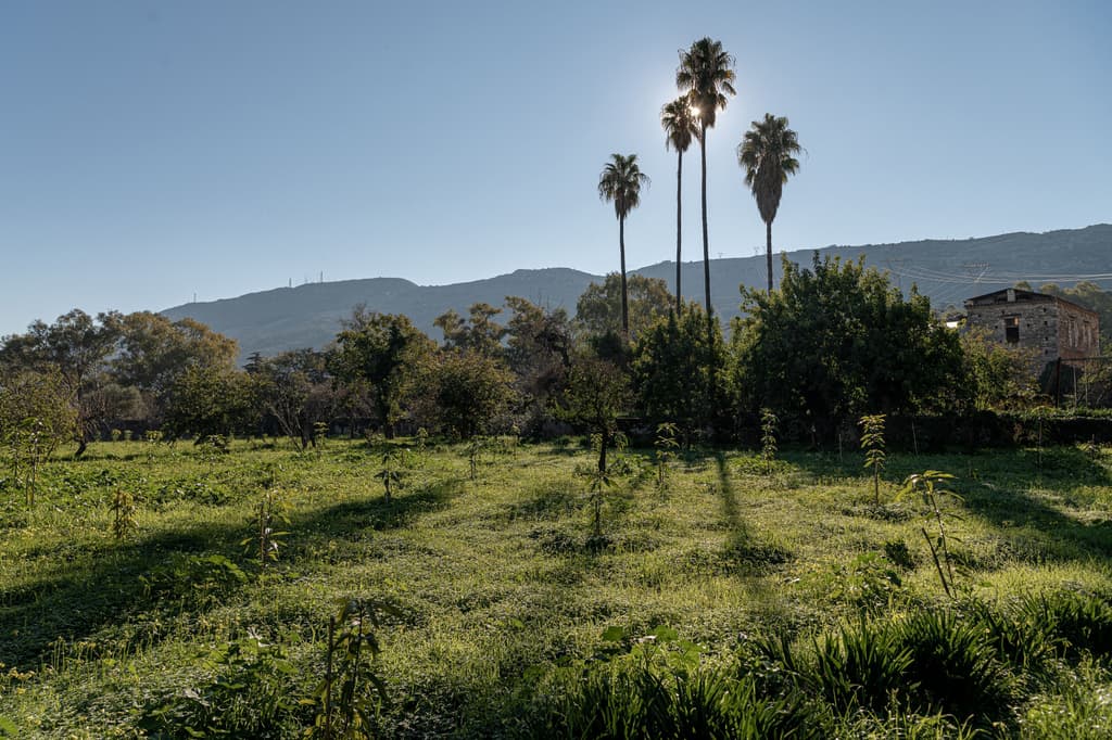 A Renaissance garden in the Kampos of Chania