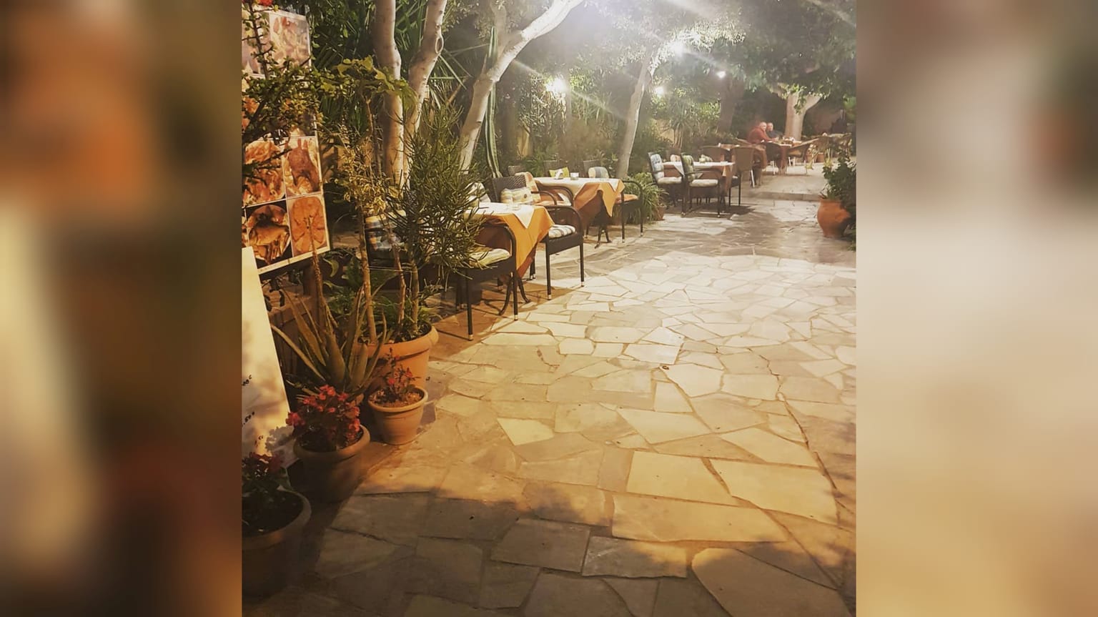 Calamies Taverna: a green oasis awaits you in Adelianos Kampos