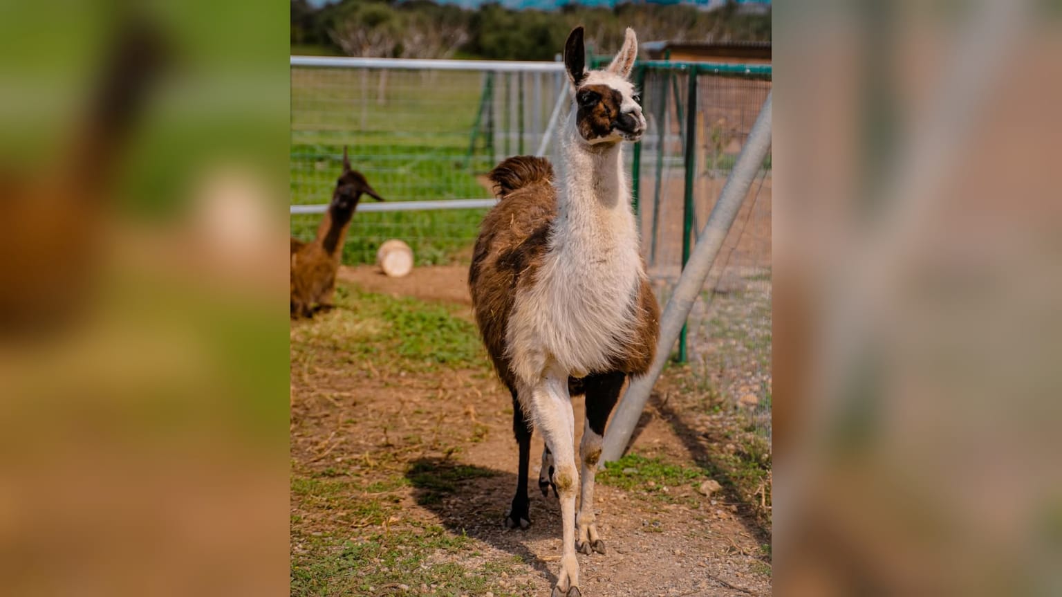 A Full-Day Family Excursion in the Heart of Heraklion