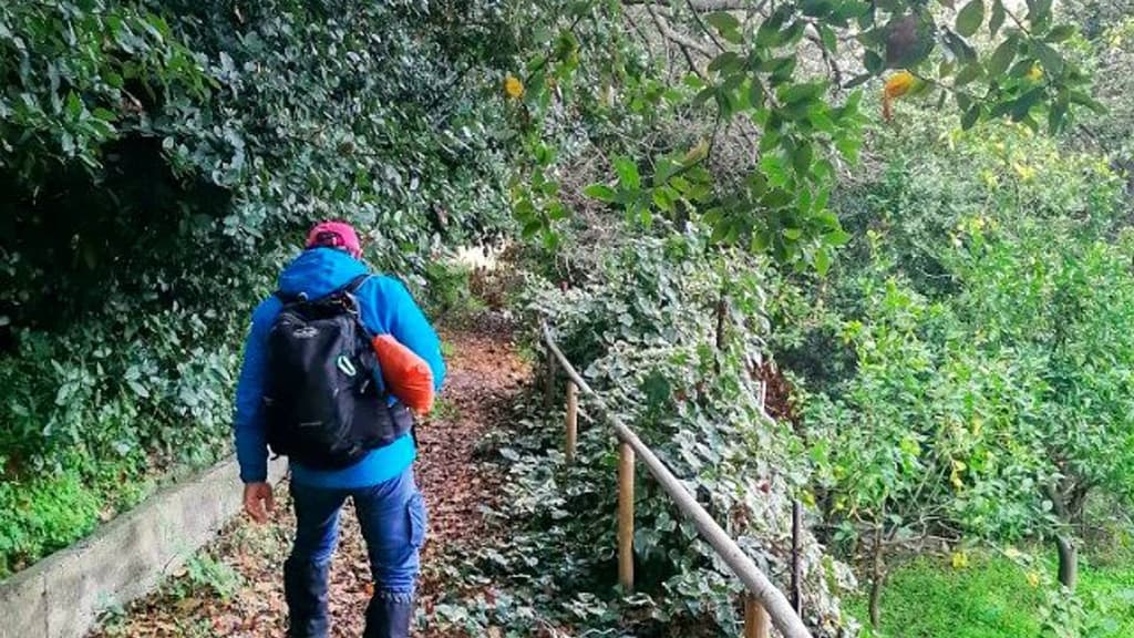 Excursion to a Hidden Gem of a Forest!