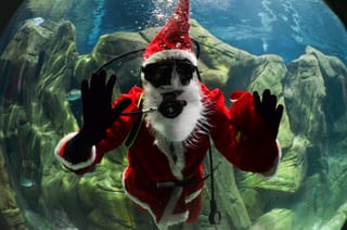 2025 — Don’t just watch the chimney!