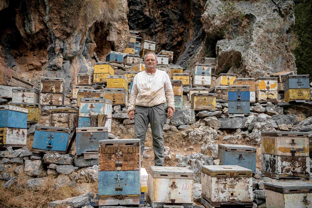 Honey – A Treasure of the Cretan Land