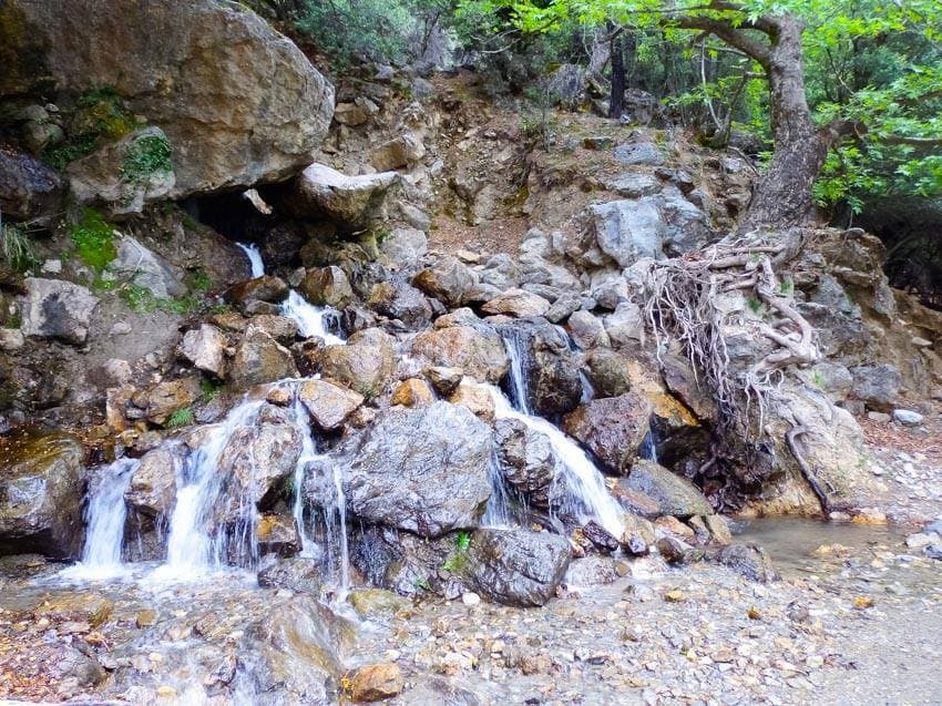 Kato Symi – Lapatho – Karydi – Mythi: A New Trek with EOS Heraklion