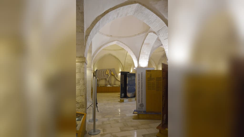 Podcast: When Lions and Rhinos Roamed Crete!